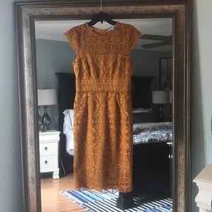 Antonio Melani sheath dress. Never been worn!